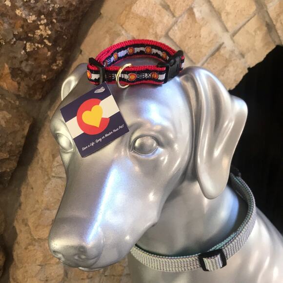 NEW Colorado  Flag X-Small Dog Collar Blue Red 8-12 inches - Picture 1 of 5